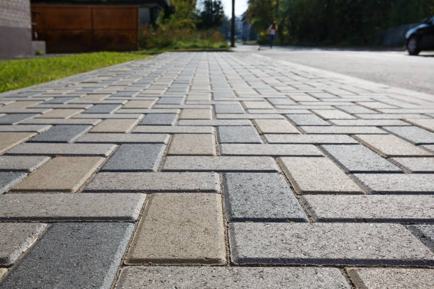 Best Driveway Paving Contractor  in Canton Valley, CT