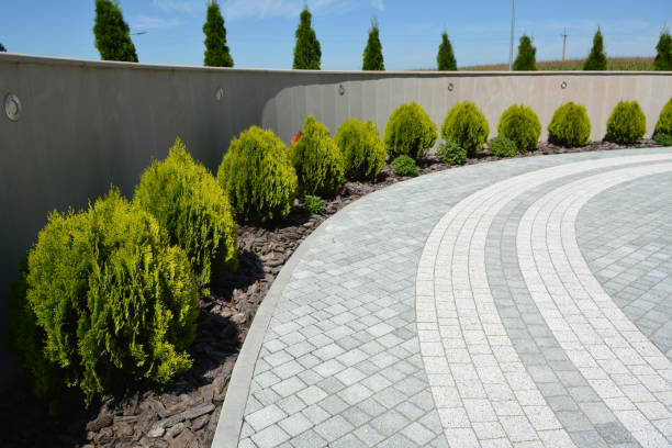 Best Affordable Driveway Paving  in Canton Valley, CT